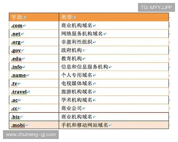 如何快速找到亚博最新域名的有效途径与技巧