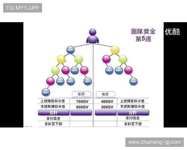 大发国际赌场的游戏种类与奖金制度详解分析